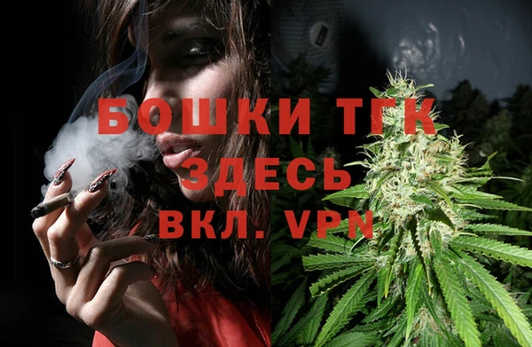 spice Сосновый Бор