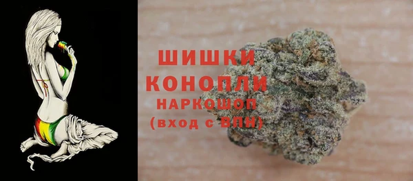 ГАЛЛЮЦИНОГЕННЫЕ ГРИБЫ Сосновка