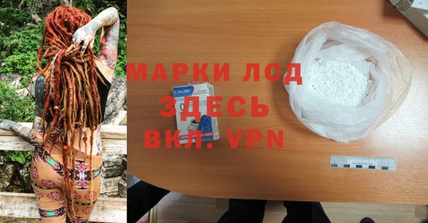 ГАЛЛЮЦИНОГЕННЫЕ ГРИБЫ Сосновка