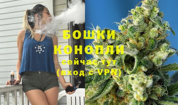 spice Сосновый Бор