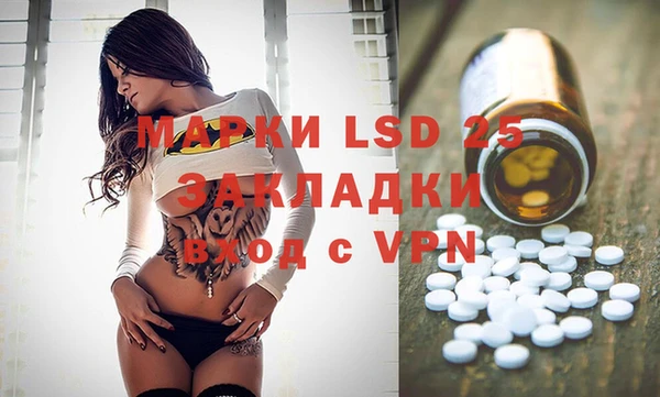 ГАЛЛЮЦИНОГЕННЫЕ ГРИБЫ Сосновка