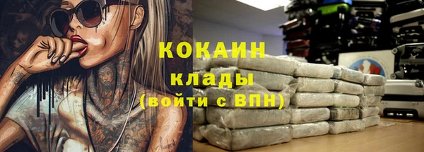 ГАЛЛЮЦИНОГЕННЫЕ ГРИБЫ Сосновка