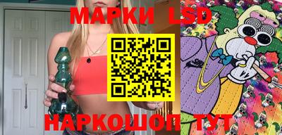 индика Гусев