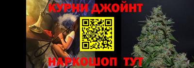 индика Гусев