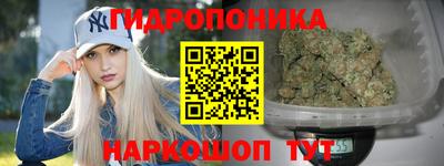 индика Гусев