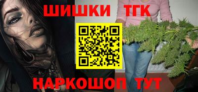 индика Гусев