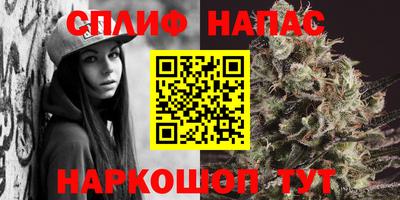 a pvp Гусь-Хрустальный