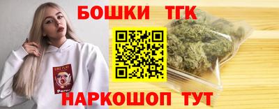 индика Гусев