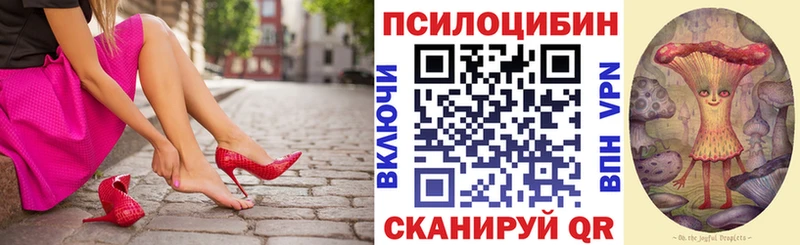 хочу   Сорочинск  Галлюциногенные грибы мицелий 