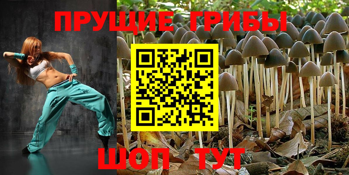 Сорочинск  Галлюциногенные грибы мухоморы  Вход с VPN 